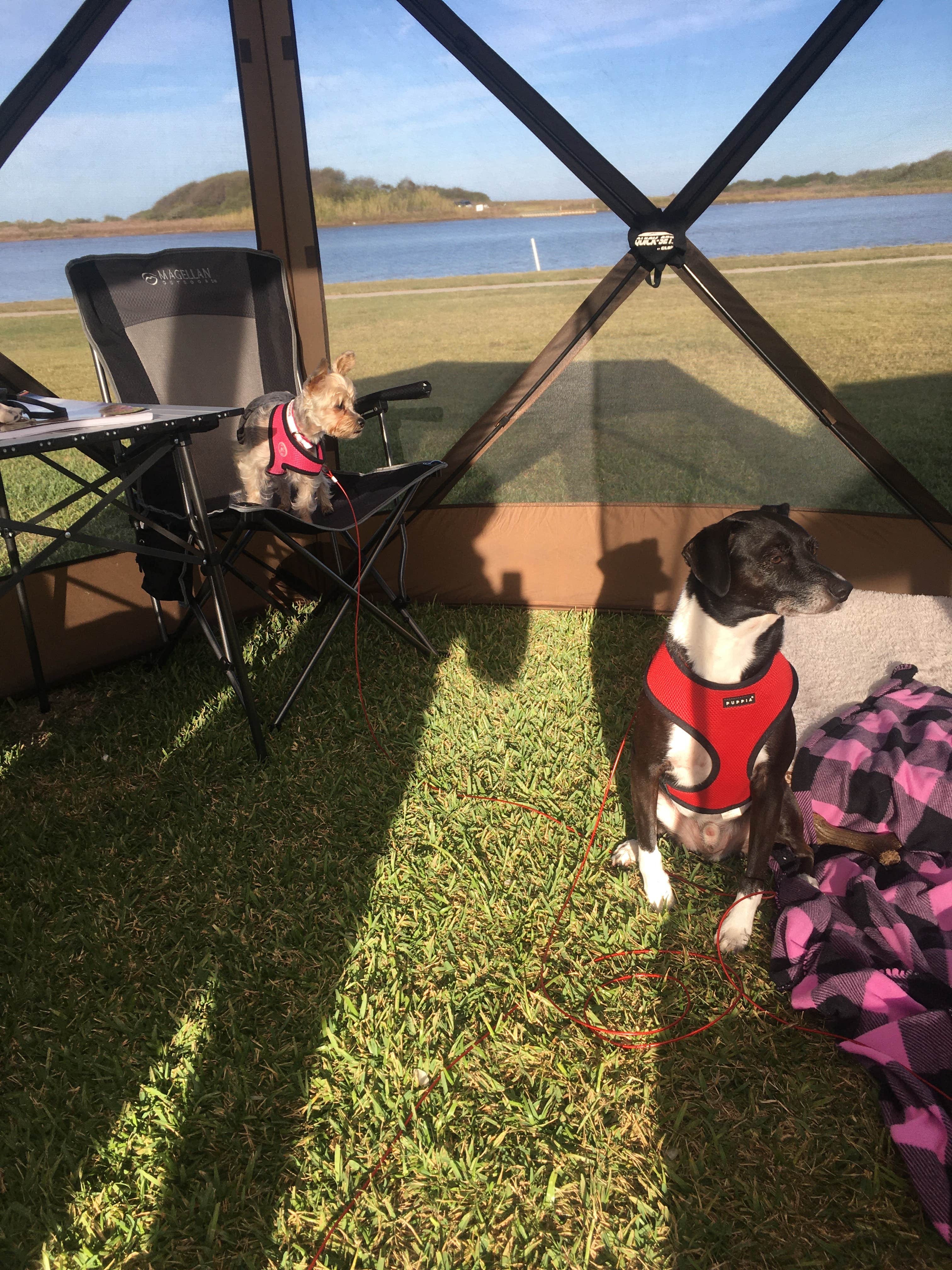 Camper-submitted photo at Matagorda Bay Nature Park near Edna, TX