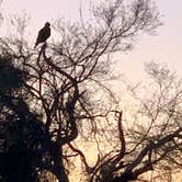 Review photo of Usery Mountain Regional Park by Allison B., February 7, 2021