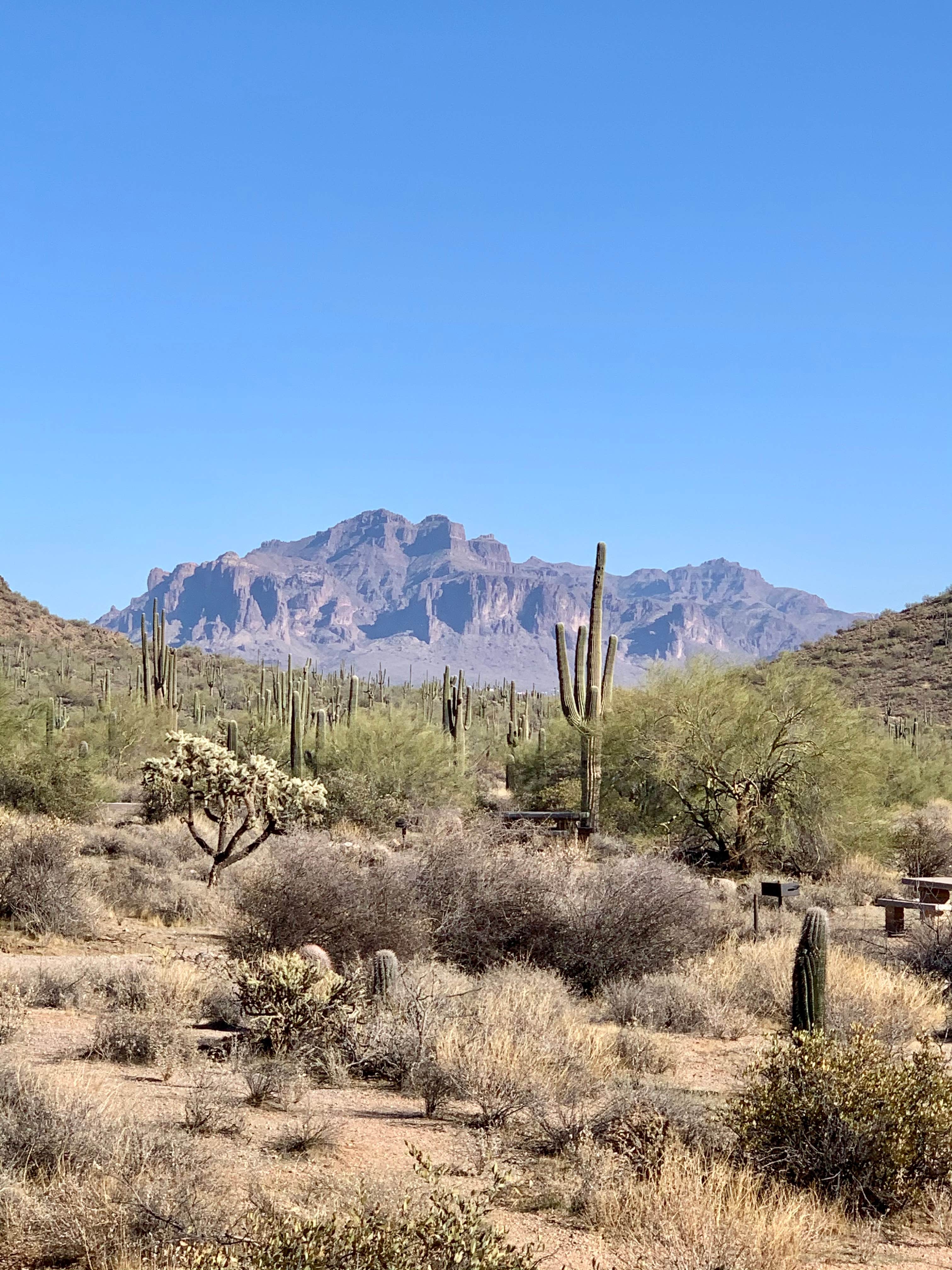 Camper-submitted photo at Usery Mountain Regional Park near Gold Canyon, AZ