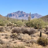 Review photo of Usery Mountain Regional Park by Allison B., February 7, 2021