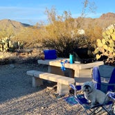 Review photo of Gilbert Ray Campground by Allison B., February 7, 2021