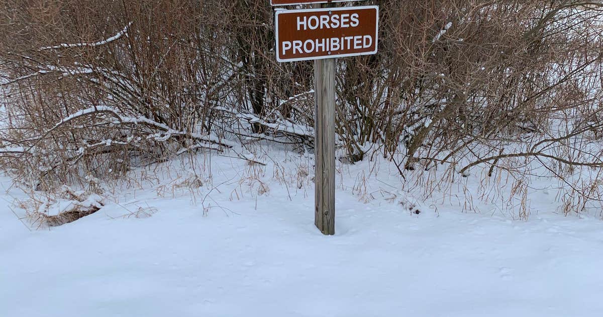 Waterloo Sugarloaf Modern — Waterloo Recreation Area