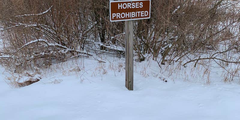 Camper submitted image from Waterloo Sugarloaf Modern — Waterloo Recreation Area