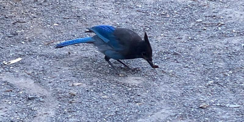 Camper submitted image from Jumbo Campground