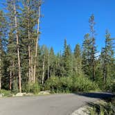 Review photo of Jumbo Campground by Lindsey S., February 8, 2021