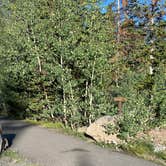 Review photo of Jumbo Campground by Lindsey S., February 8, 2021