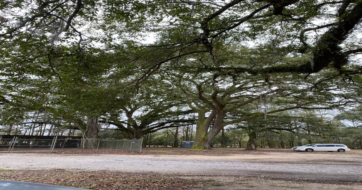 Pearl River WMA Crawford Landing The Dyrt