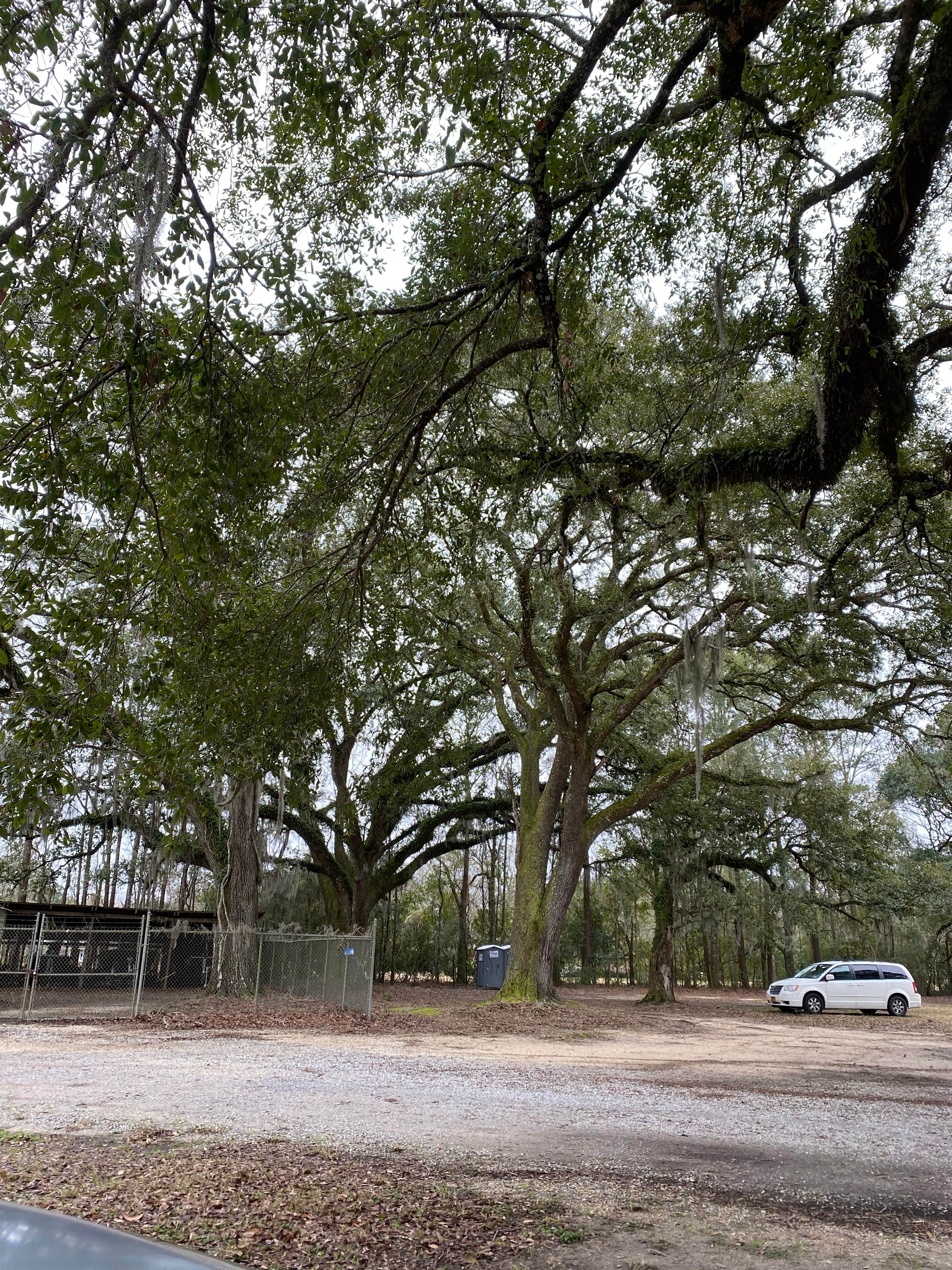 Camper-submitted photo at Pearl River WMA - Crawford Landing near Pearl River, LA