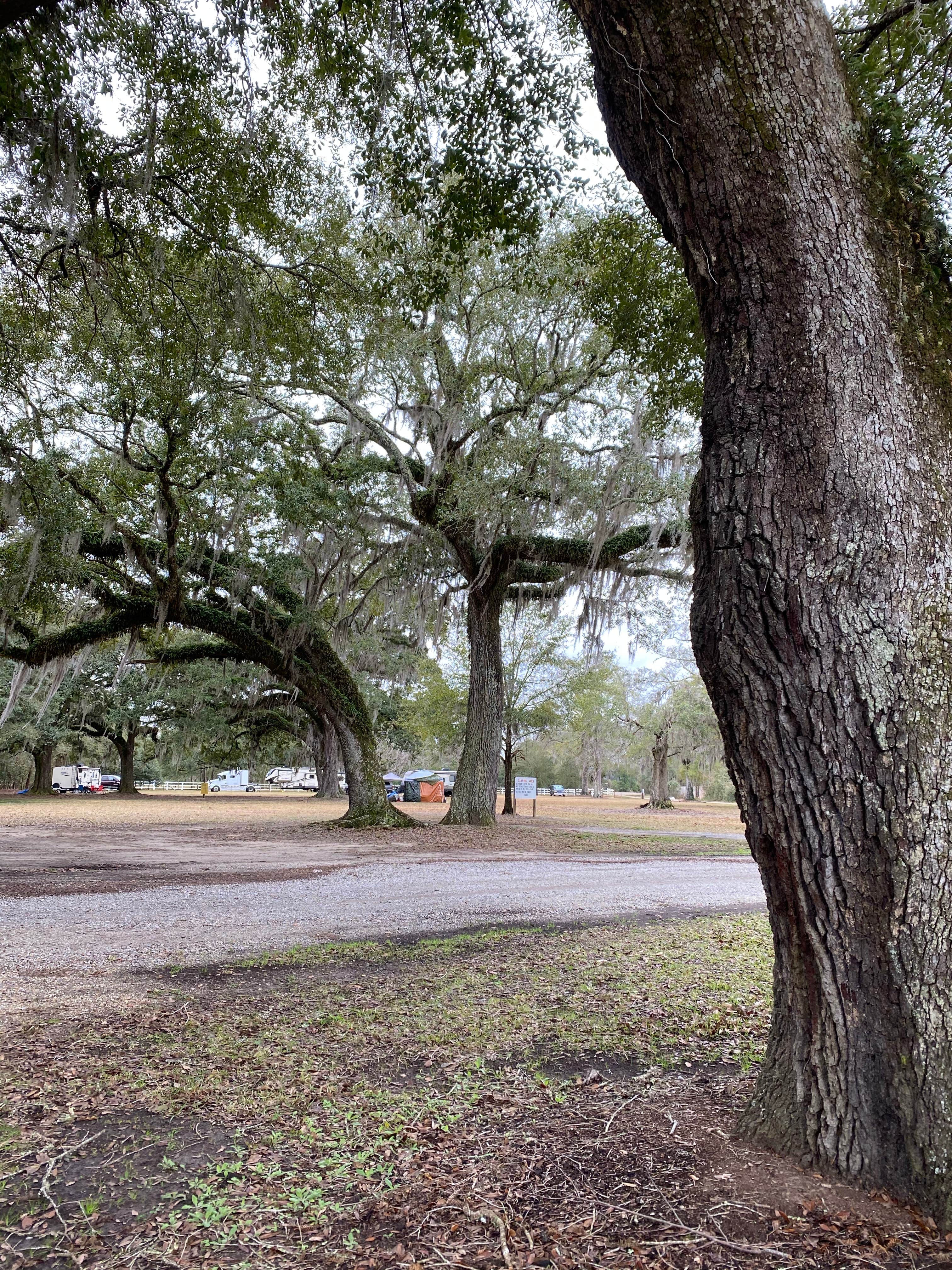 Camper-submitted photo at Pearl River WMA - Crawford Landing near Pearl River, LA
