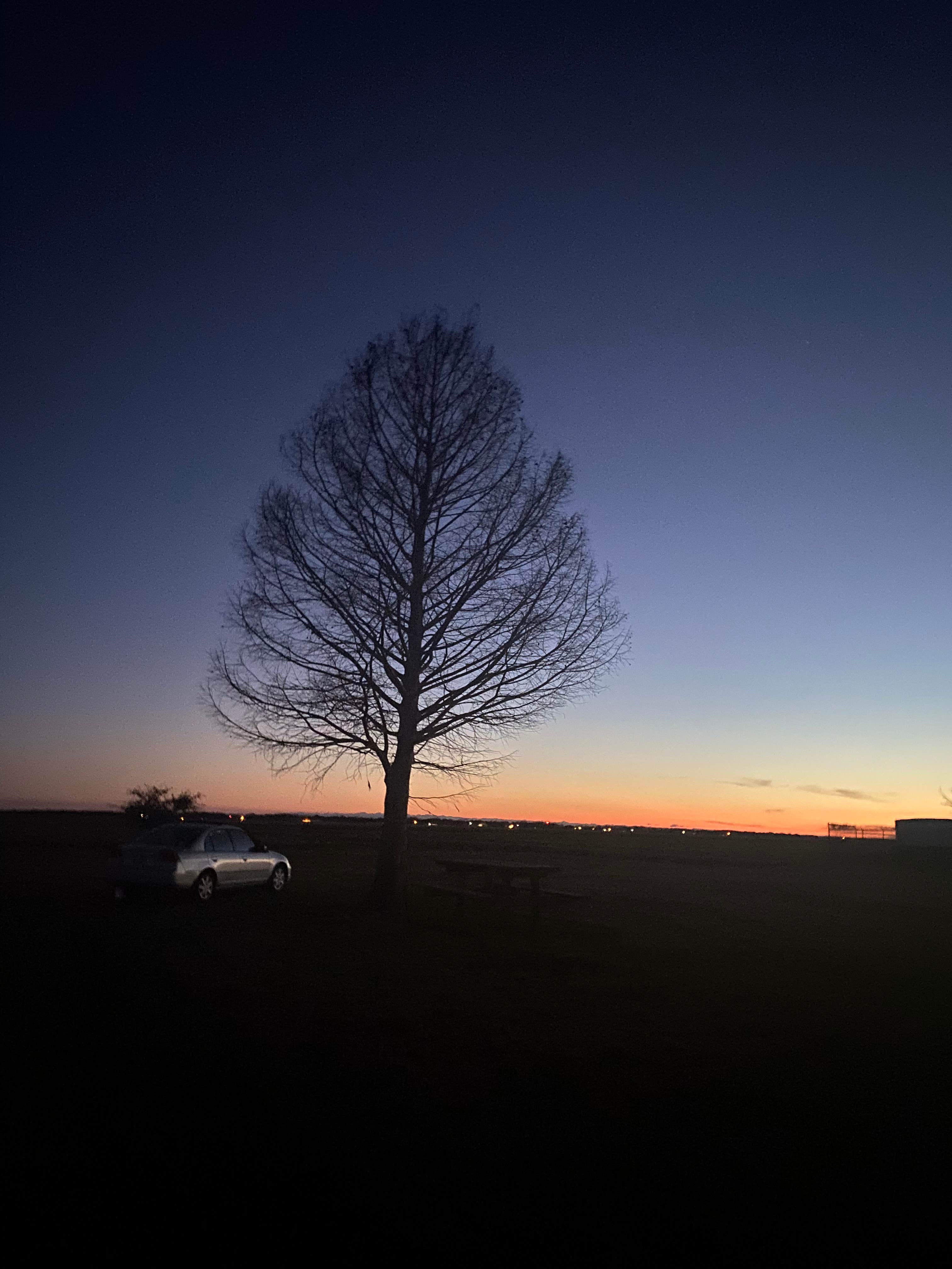 View All