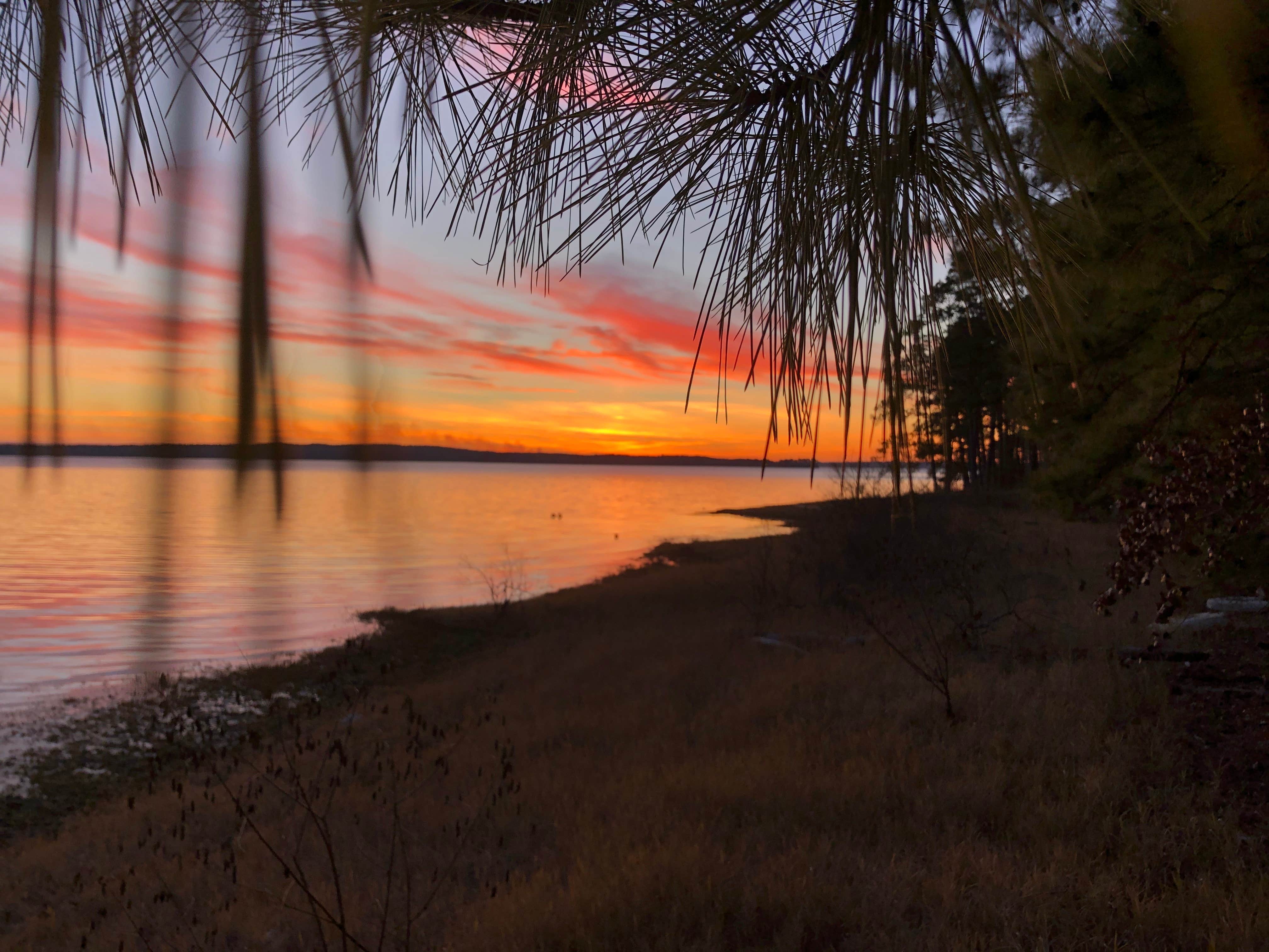 Camper-submitted photo at South Toledo Bend State Park Campground near Natchitoches, LA