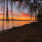 Review photo of South Toledo Bend State Park Campground by Erin A., February 8, 2021