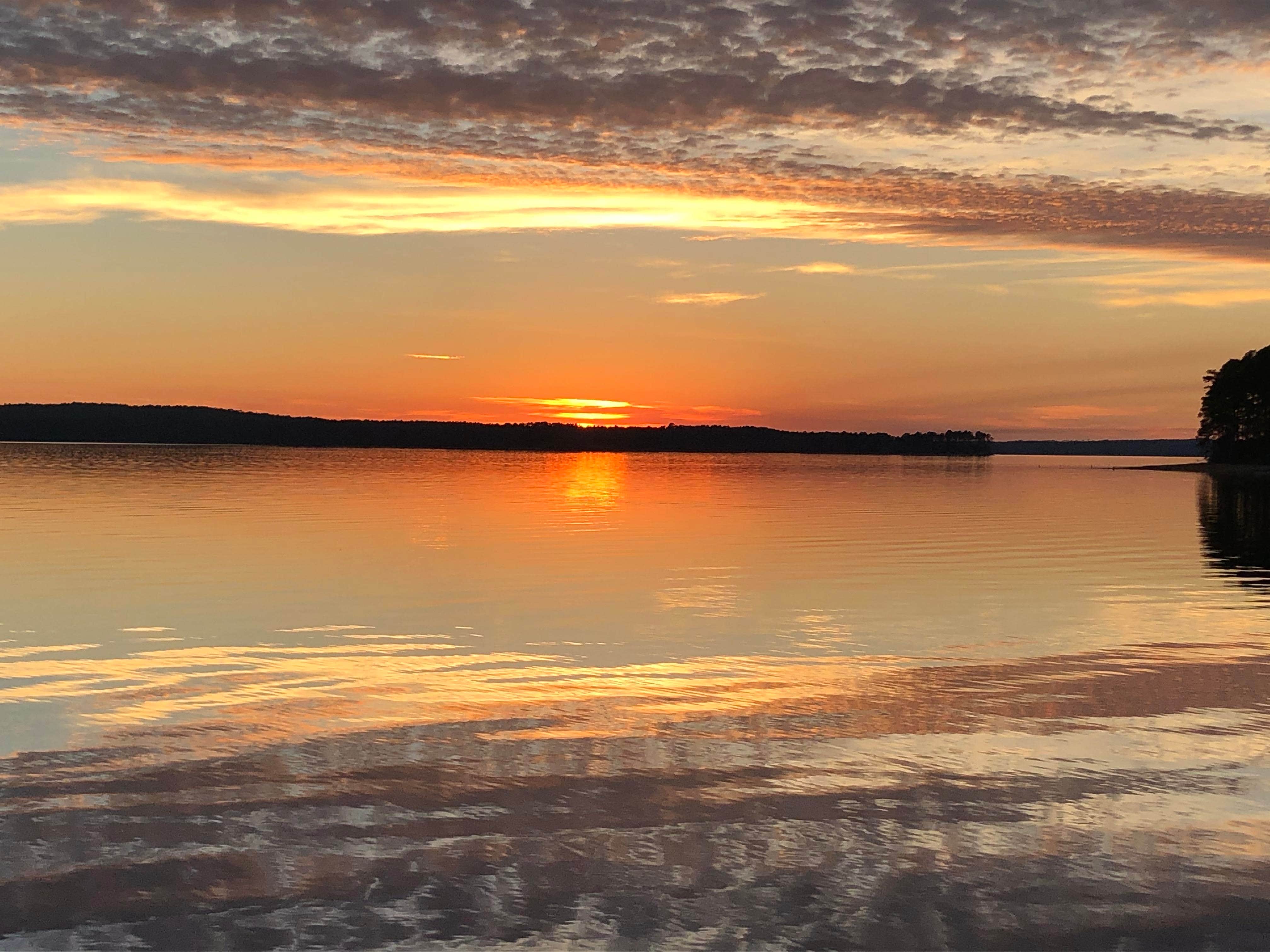 Camper submitted image from South Toledo Bend State Park Campground - 1