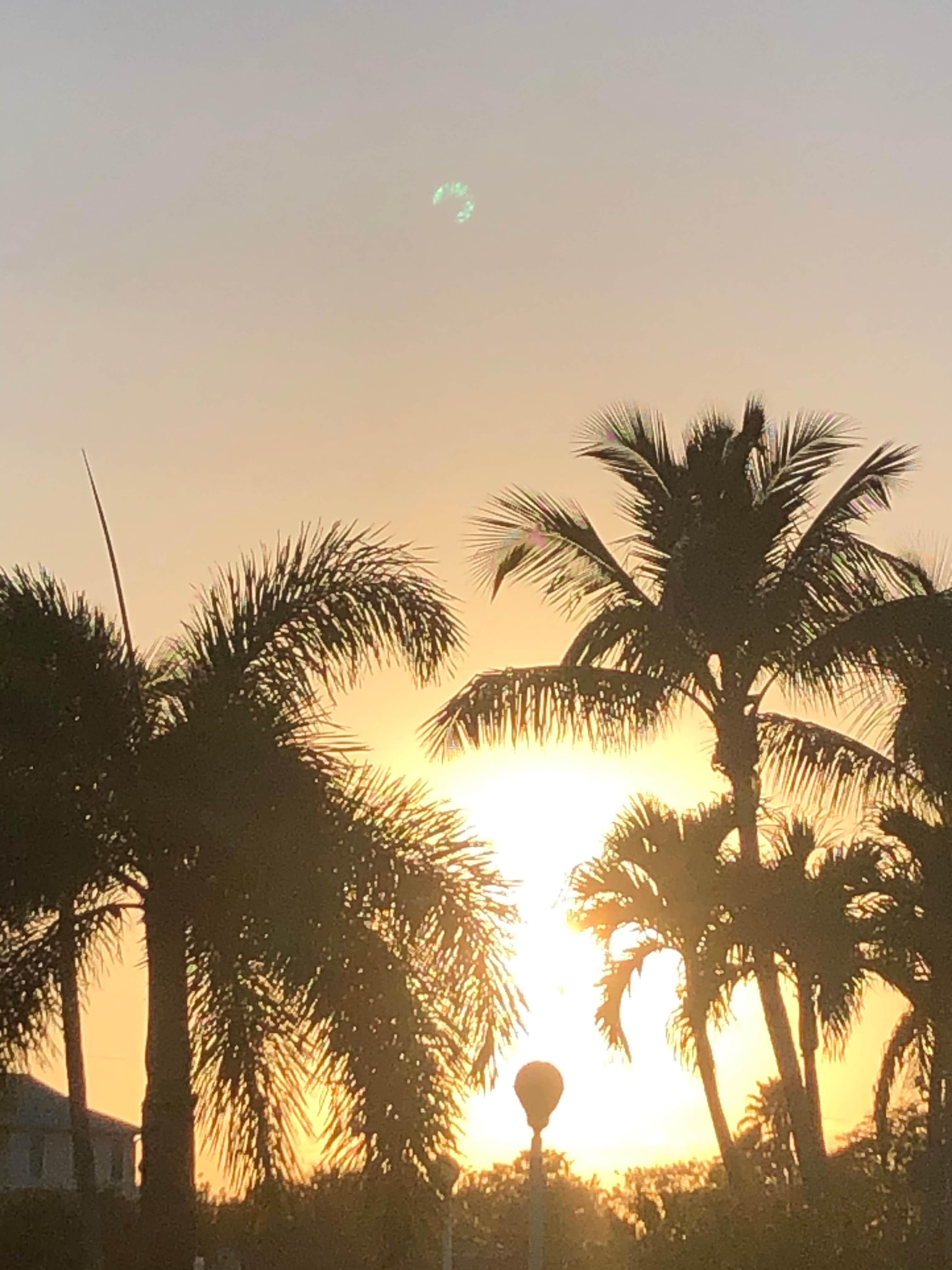 Camping near Burns Lake Campground — Big Cypress National Preserve: Outdoor Resorts-Chokoloskee Island, Everglades City, Florida