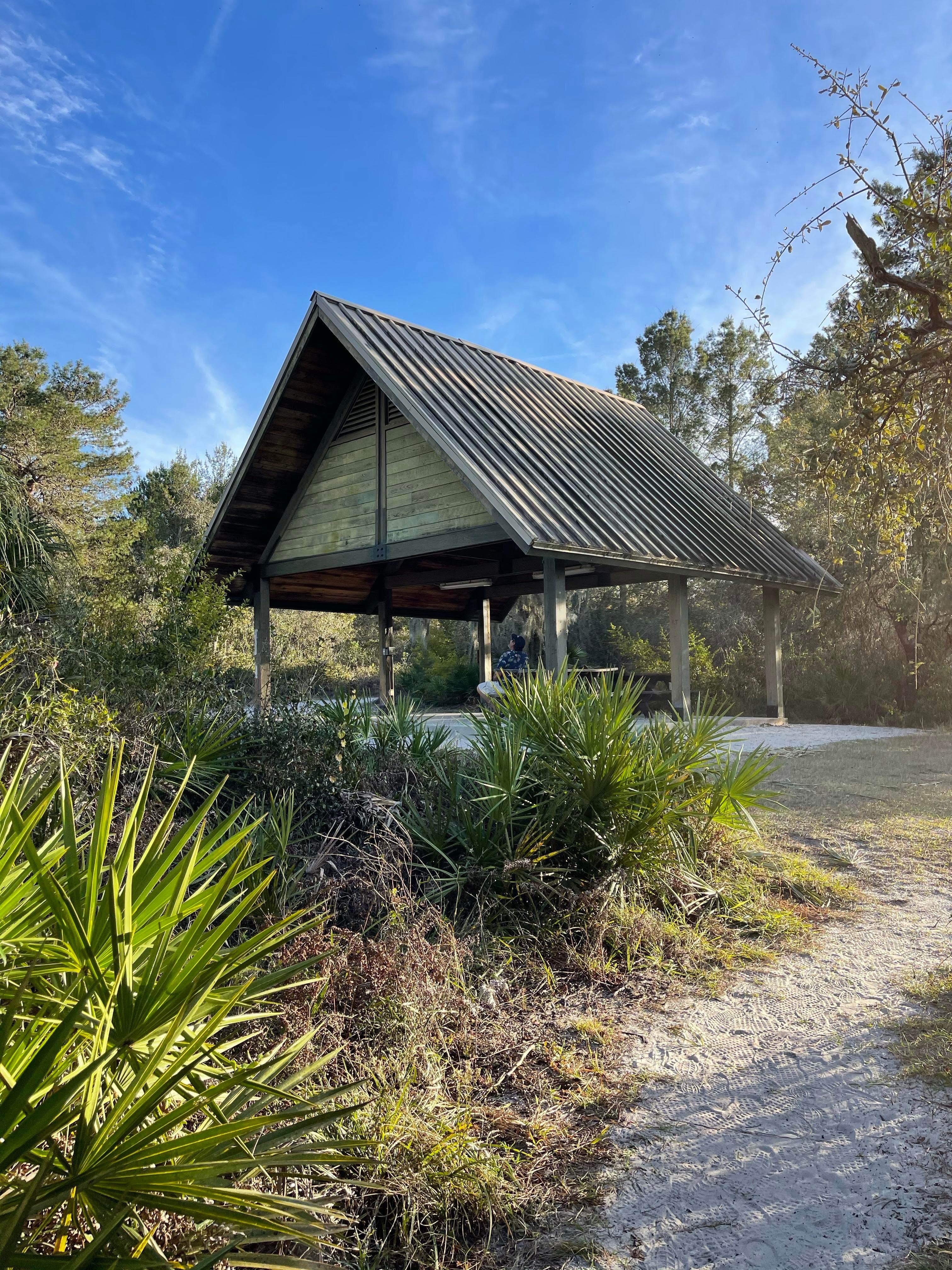 Camper-submitted photo at Little Manatee River State Park Campground near Elkton, FL