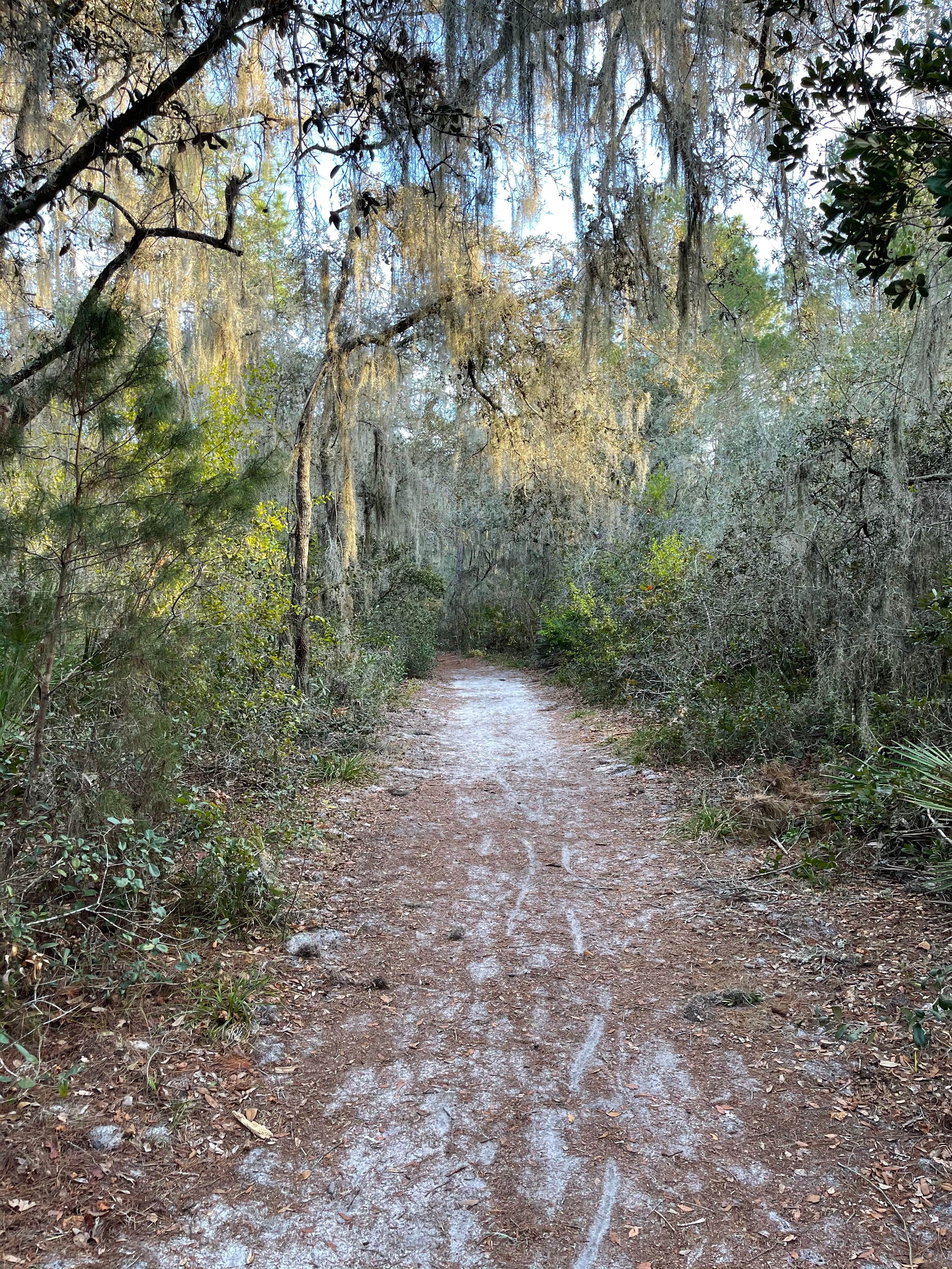 Little Manatee River State Park Campground