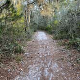 Review photo of Little Manatee River State Park Campground by Mary H., February 8, 2021