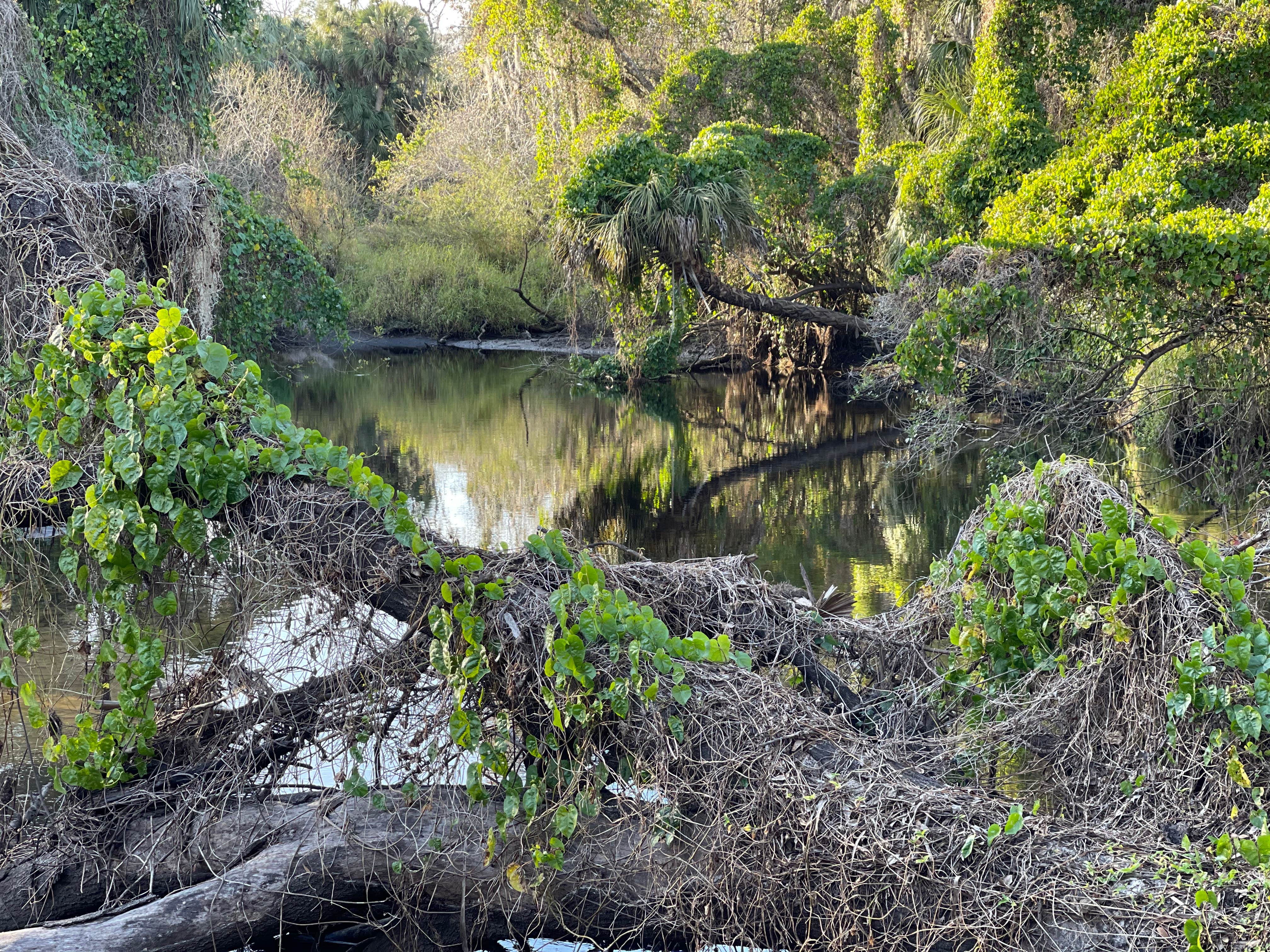 Little Manatee River State Park Campground