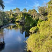 Review photo of Little Manatee River State Park Campground by Mary H., February 8, 2021