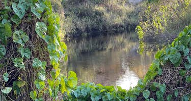 Little Manatee River