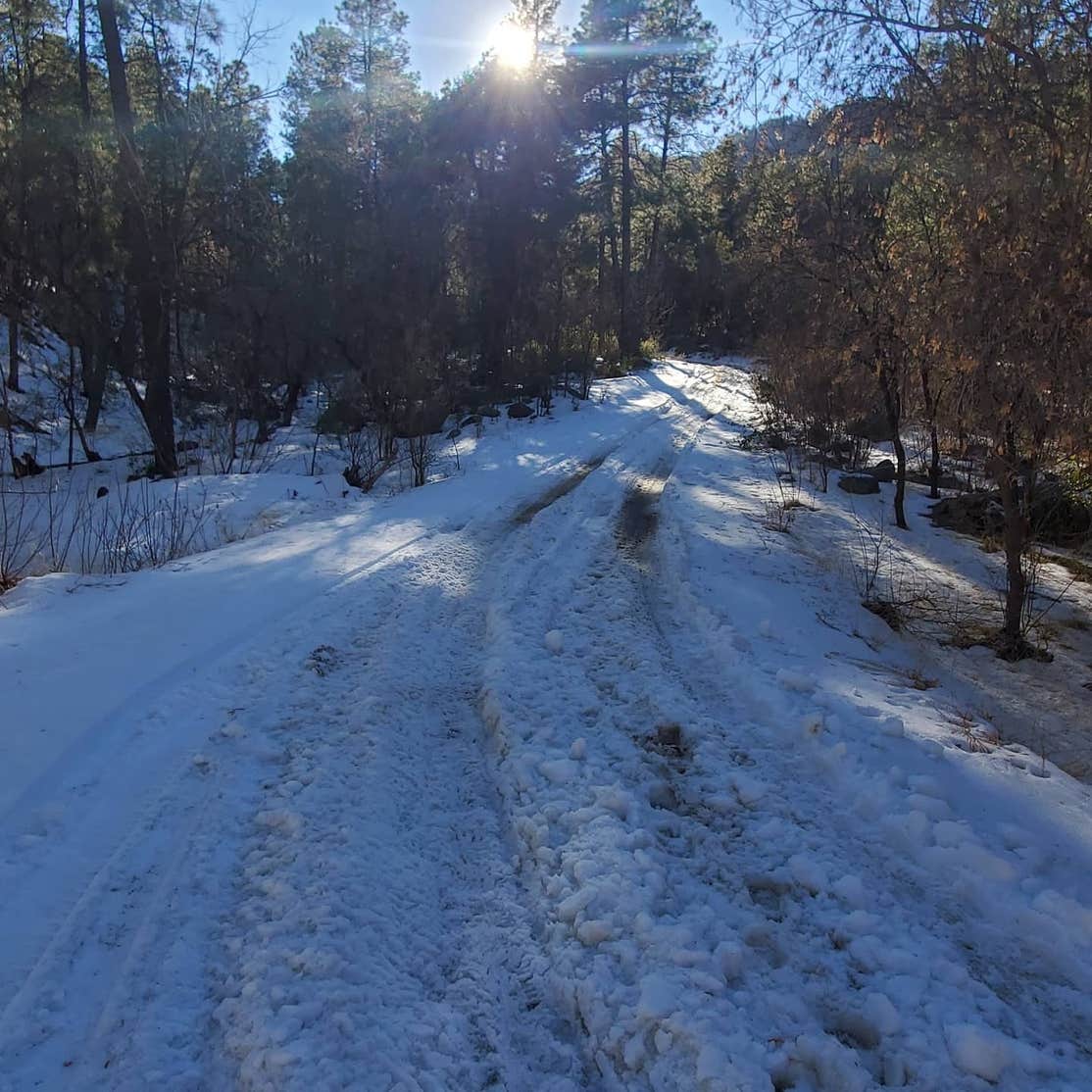 Pioneer Pass Campground Globe, AZ