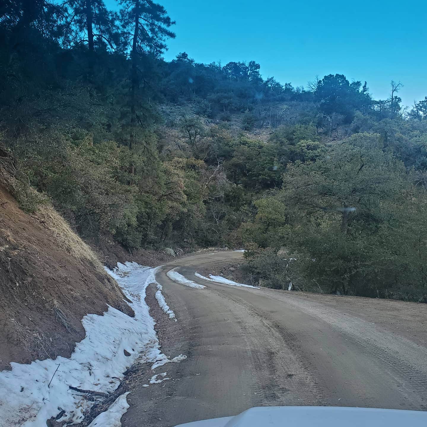 Camper-submitted photo at Pioneer Pass Campground near Superior, AZ