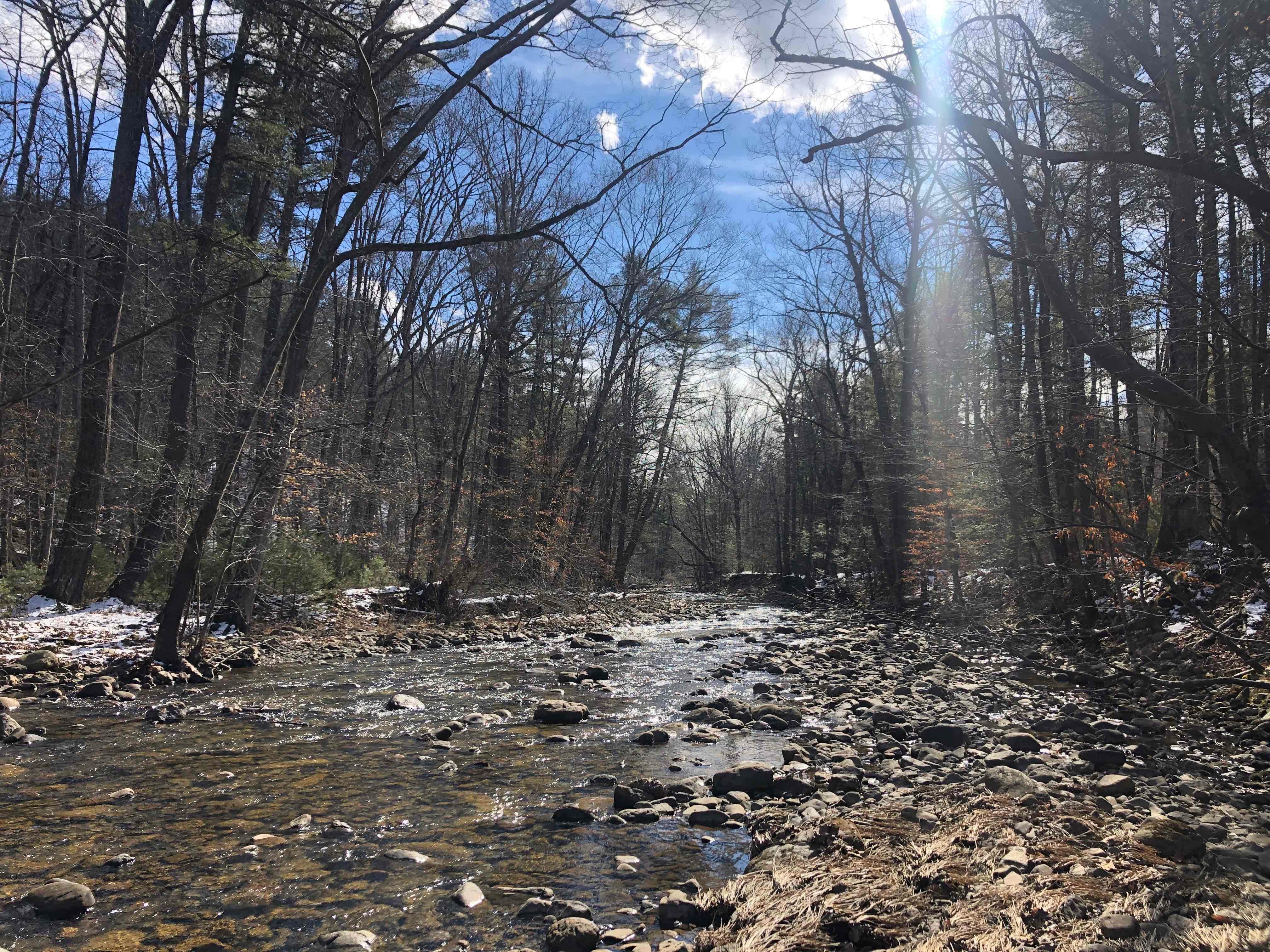 Camper-submitted photo at Douthat State Park Campground near Vesuvius, VA