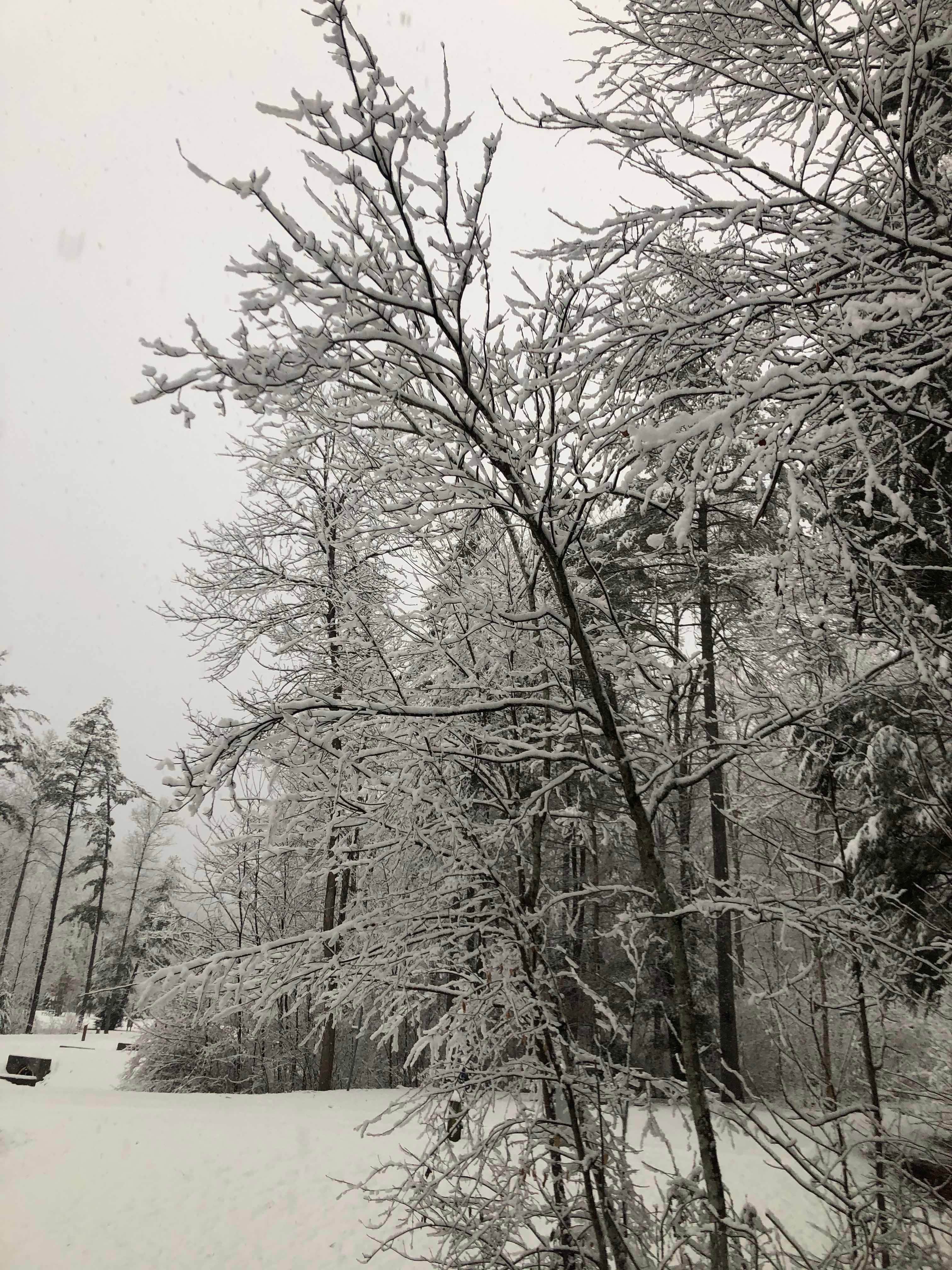 Camper-submitted photo at Douthat State Park Campground near Vesuvius, VA