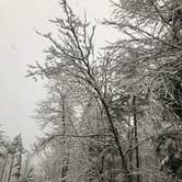 Review photo of Douthat State Park Campground by Russ A., February 8, 2021