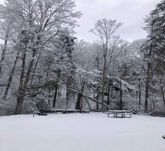 Camper-submitted photo from Douthat State Park Campground
