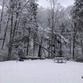 Review photo of Douthat State Park Campground by Russ A., February 8, 2021