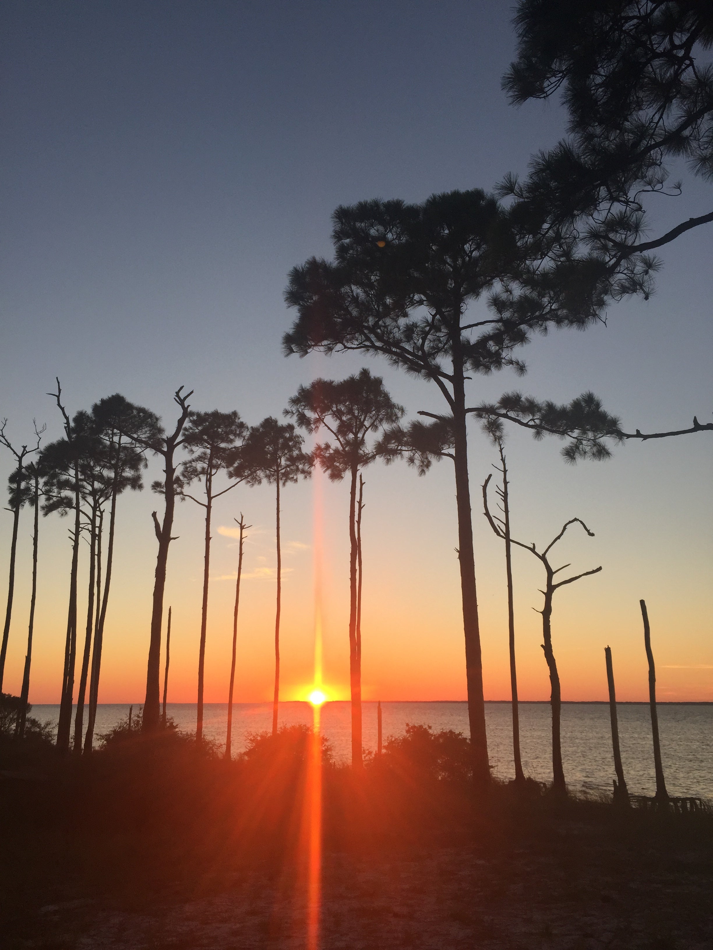 Camper submitted image from Dr. Julian G. Bruce St. George Island State Park Campground - 3