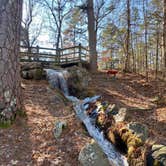 Review photo of Crowley's Ridge State Park Campground by Shana D., February 8, 2021