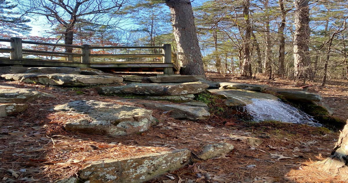 Photos of Crowley's Ridge State Park Campground