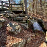 Review photo of Crowley's Ridge State Park Campground by Shana D., February 8, 2021