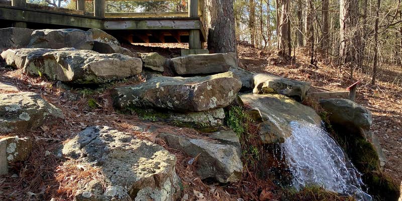Camper submitted image from Crowley's Ridge State Park Campground