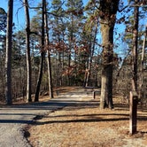 Review photo of Crowley's Ridge State Park Campground by Shana D., February 8, 2021