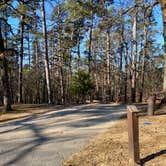 Review photo of Crowley's Ridge State Park Campground by Shana D., February 8, 2021