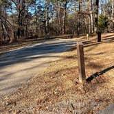 Review photo of Crowley's Ridge State Park Campground by Shana D., February 8, 2021