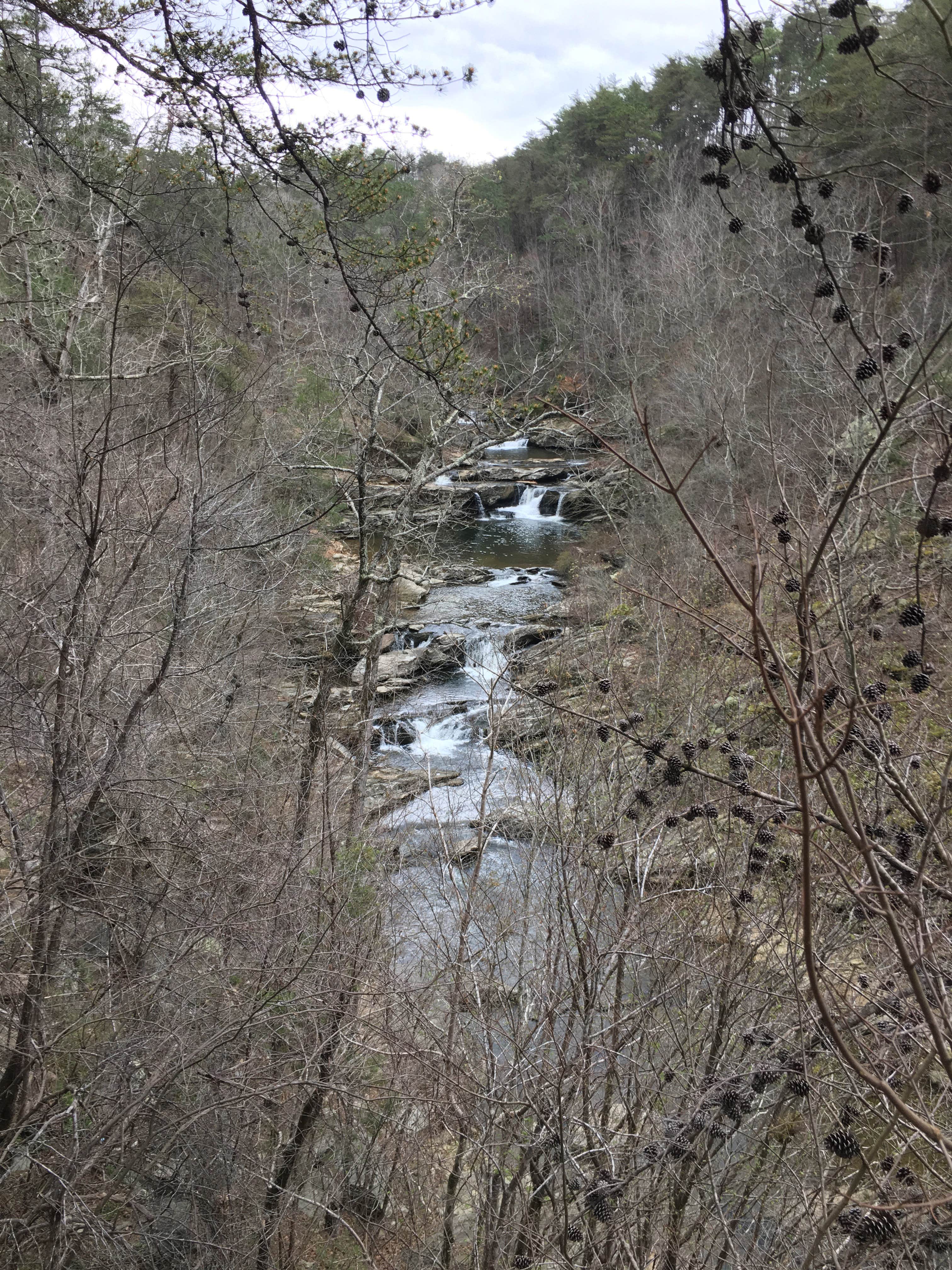 Camper submitted image from Talladega National Forest Lake Chinnabee Recreation Area - 4