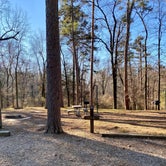 Review photo of Crowley's Ridge State Park Campground by Shana D., February 8, 2021