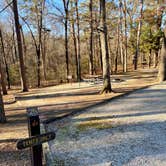 Review photo of Crowley's Ridge State Park Campground by Shana D., February 8, 2021