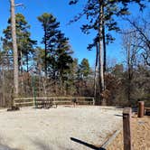 Review photo of Crowley's Ridge State Park Campground by Shana D., February 8, 2021