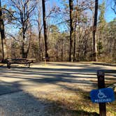 Review photo of Crowley's Ridge State Park Campground by Shana D., February 8, 2021