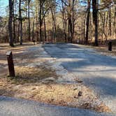 Review photo of Crowley's Ridge State Park Campground by Shana D., February 8, 2021