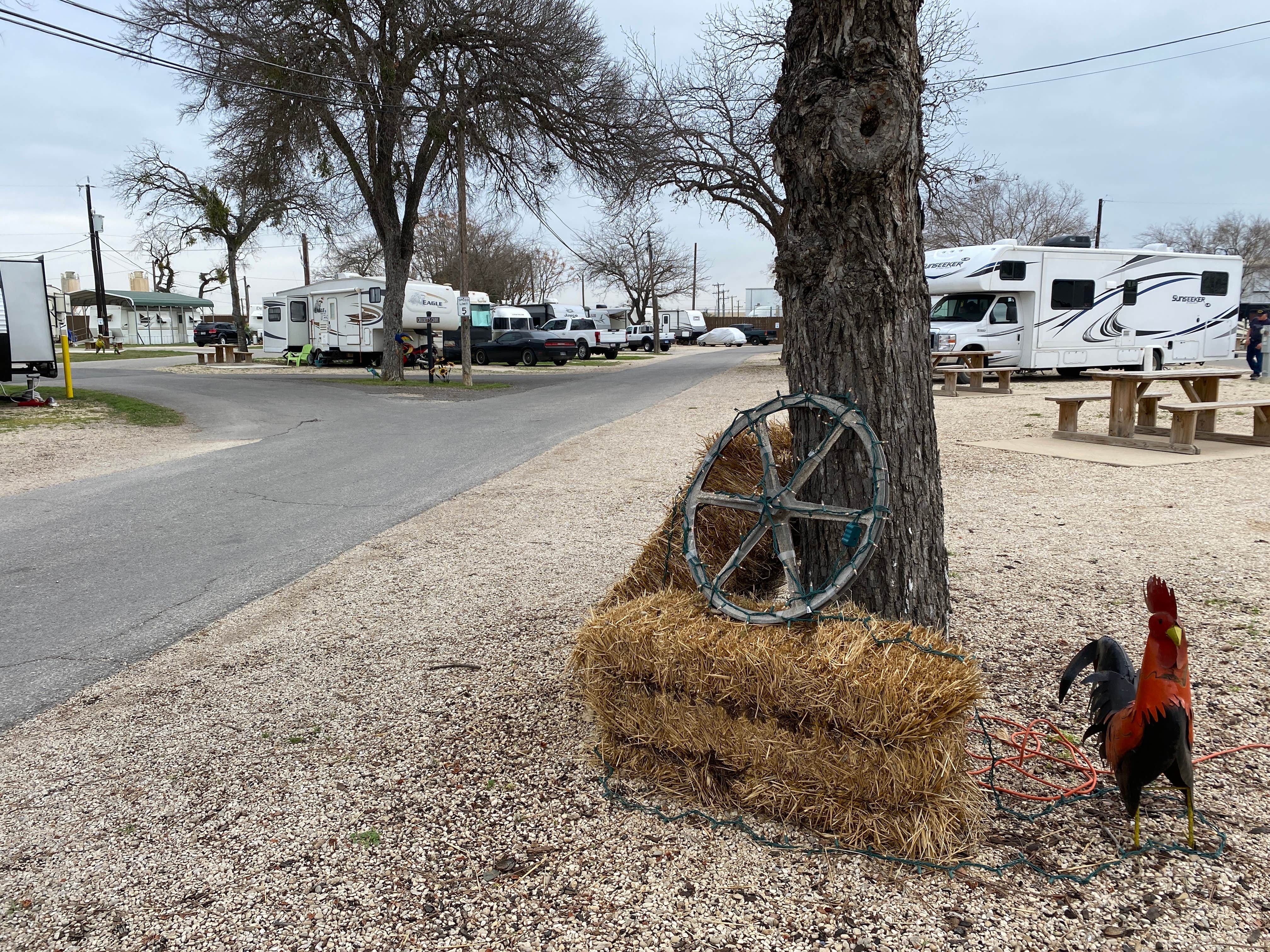 kristin S.'s photo of rv camping at Mission City RV Park near Shavano Park, TX