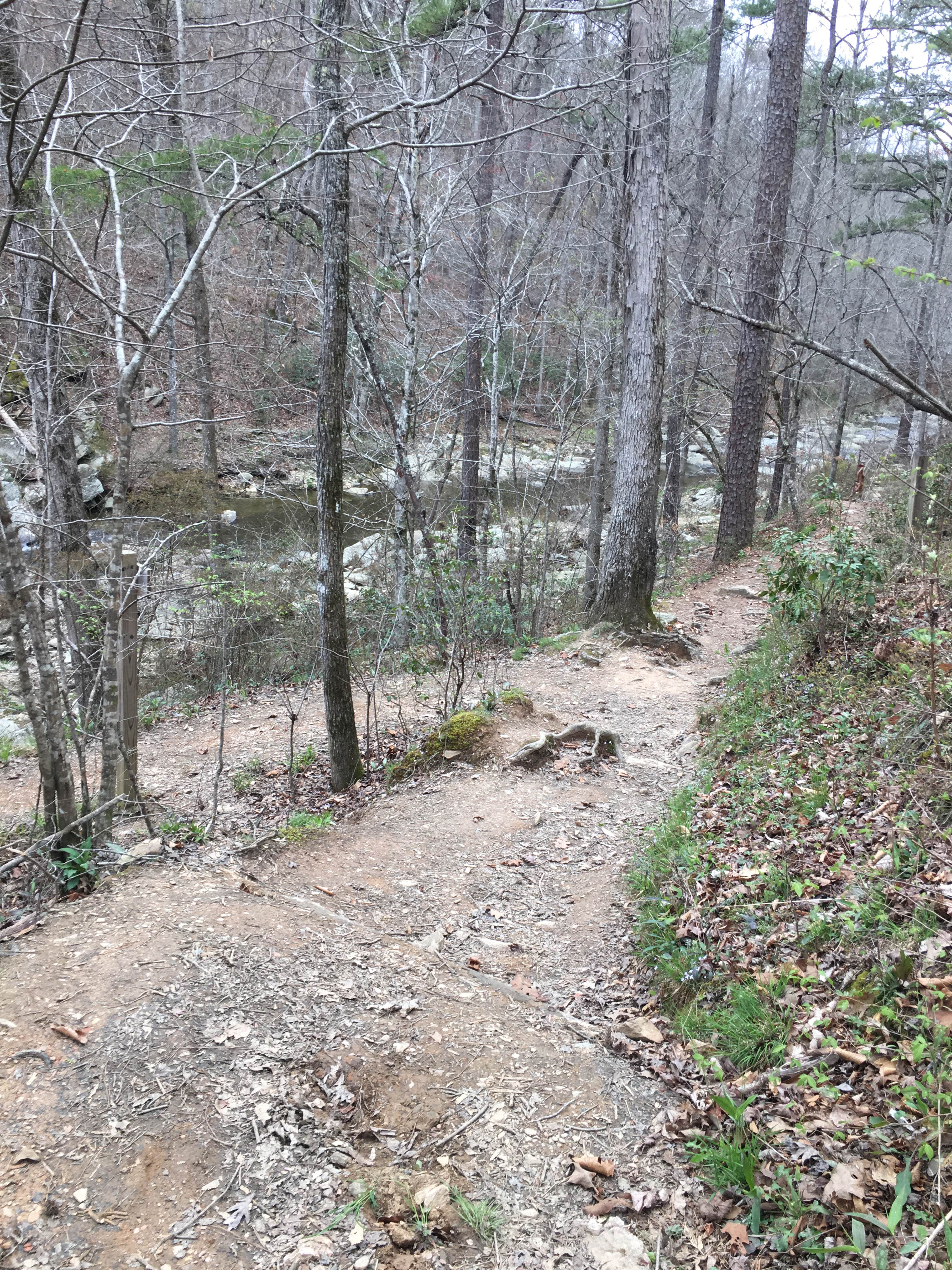 Camper submitted image from Talladega National Forest Lake Chinnabee Recreation Area - 5