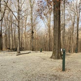 Review photo of Lake Frierson State Park by Shana D., February 8, 2021