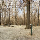 Review photo of Lake Frierson State Park Campground by Shana D., February 8, 2021