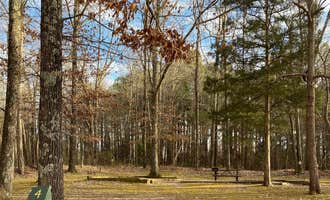 Camping near Craighead Forest Park: Lake Frierson State Park Campground, Walcott, Arkansas